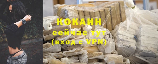 винт Горняк