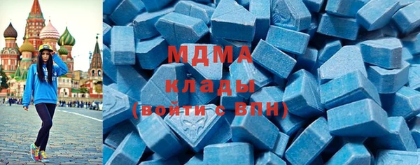 гидра Ессентукская